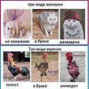 ���� �����, ������� - ��������� 2 ��� 2020 � ������ ������ ��������