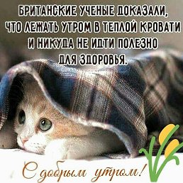 ����, ������, 45 ���