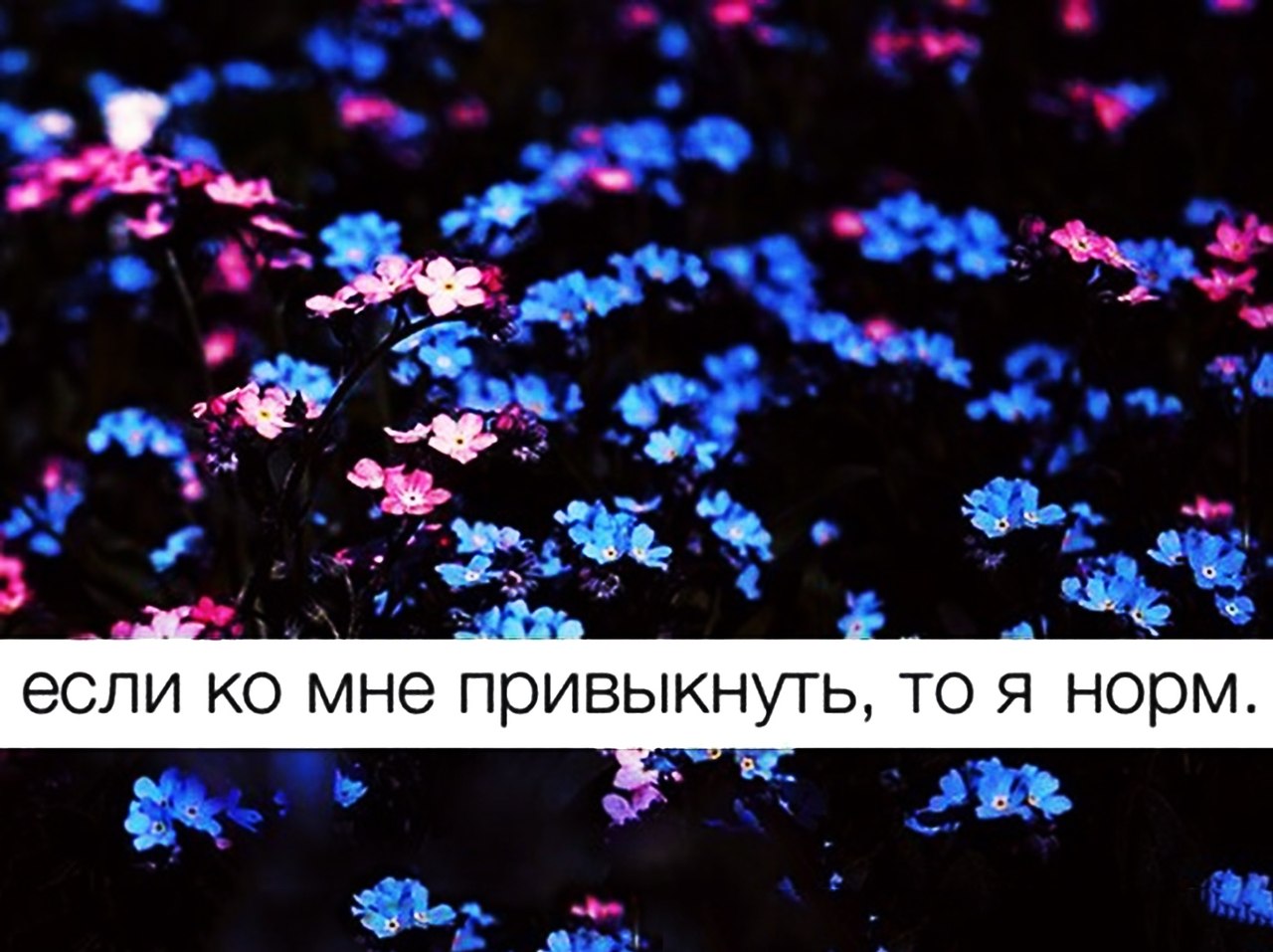 Я тебя люблю - 19 апреля 2020 в 18:47