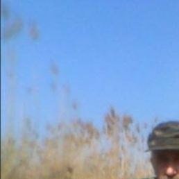 ����, ������, 74 ����