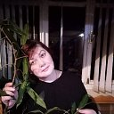 ���� �����, ���� - ��������� 7 ����� 2020 � ������ ���� ����������