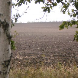 Viktor, ������������, 63 ����