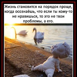 ���� ��������, �����, 47 ��� - ��������� 24 ���� 2020