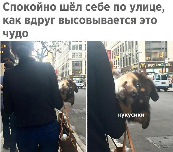 E s t h e t i q u e - 20  2020  18:54