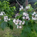 ���� �������, ������, 62 ���� - ��������� 7 ���� 2020 � ������ ���� ����������