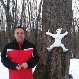 ��������, ����������, 66 ���