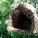 ������ ���� �����))) �� ������� ���� ����������