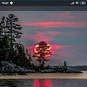 ���� �����, ���� - ��������� 14 ����� 2020 � ������ ������ ��������