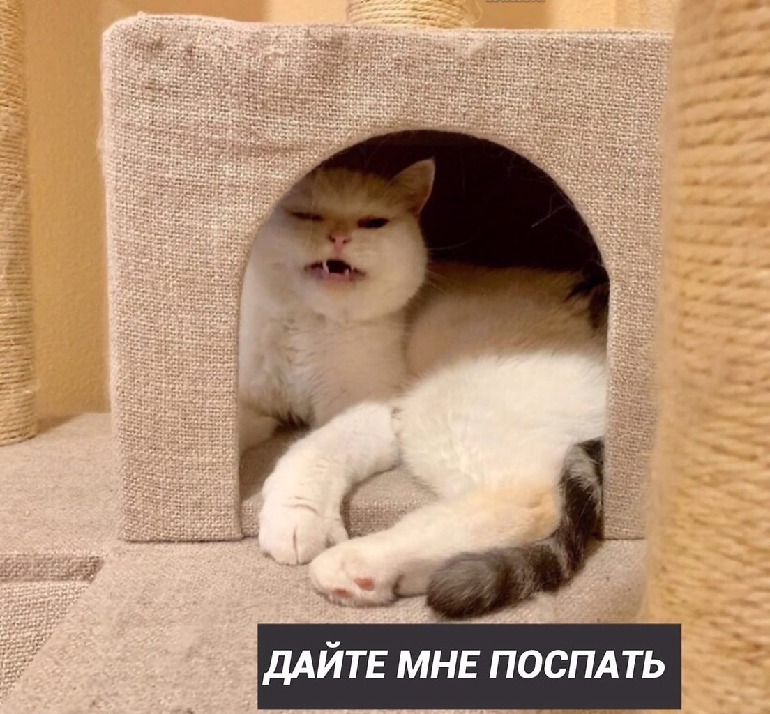      - 3