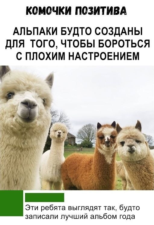 �� ��� �� ���� ������: - �� ��� �������.. ��� ��� � ���������.