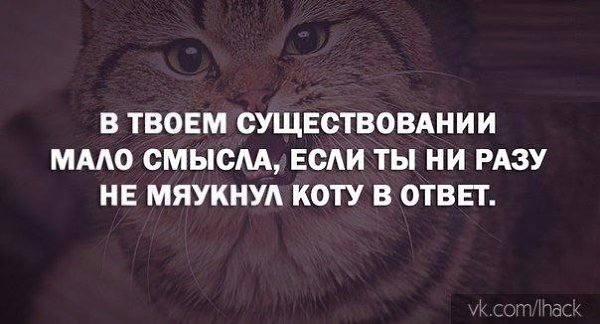 ������� - 30 ������ 2020 � 18:58