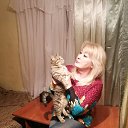 ���� ������, ����, 58 ��� - ��������� 12 ����� 2020 � ������ ���� ����������