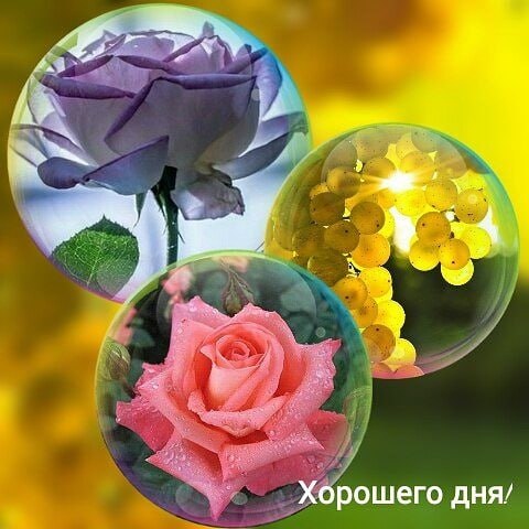   ,    . - 11  2020  16:34