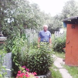 , 59, 