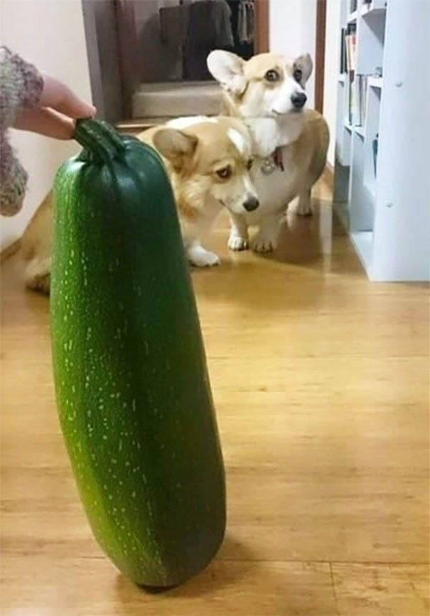 ����� ������, �������-�� �������� ���� � ������������ - 9