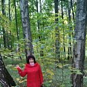 ���� ������, ������, 64 ���� - ��������� 15 ����� 2020 � ������ ���� ���� ������