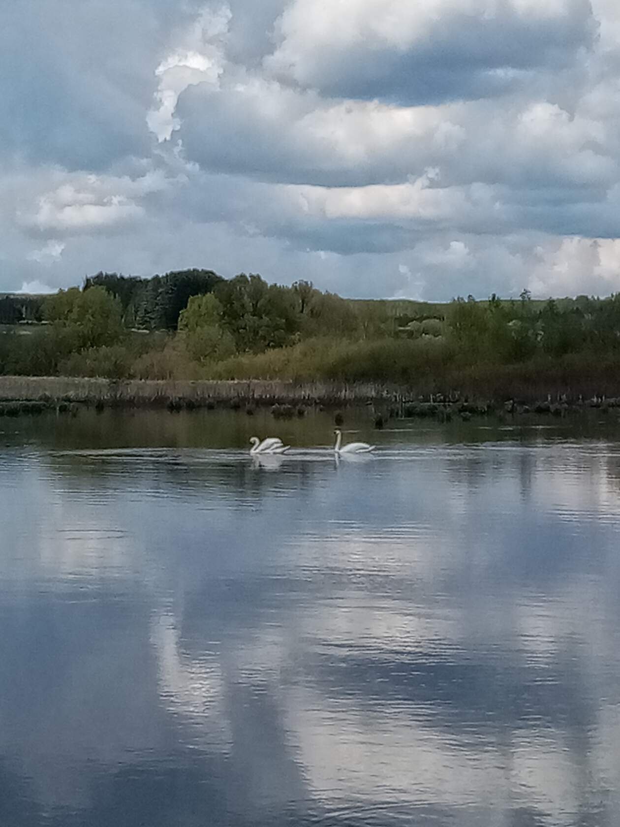  - 17  2020  21:06 - 6