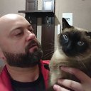 ���� ������, ������ �������� - ��������� 9 ������ 2020 � ������ ���� ����������