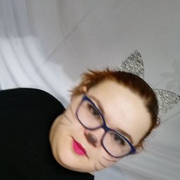 ����, ����-���������, 29 ���