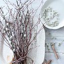 ���� Severnaya, ������ �������� - ��������� 12 ������ 2020 � ������ ������ ��������