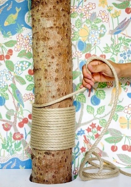 Когда очень любишь своего кота, то и целое дерево можно в квартире поставить) - 2