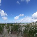 ���� ����, �����-���������, 66 ��� - ��������� 29 ���� 2020 � ������ ���� ����������