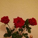 ���� ������, ������, 64 ���� - ��������� 15 ����� 2020 � ������ ���� ���� ������