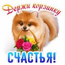 ���� �����, ����, 39 ��� - ��������� 5 ������� 2020 � ������ ����� 2015�