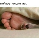 ���� �������), ������������ - ��������� 23 ������ 2020 � ������ ������ ��������