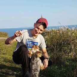 ���� �������, �����������, 33 ���� - ��������� 19 ������ 2020