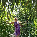 ���� ������, ������� ���, 61 ��� - ��������� 28 ���� 2020 � ������ ������ ��������