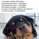 ���� ������, ������ - ��������� 3 ������� 2020 � ������ ������ ��������