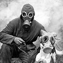 ���� ������� ������, ������, 45 ��� - ��������� 3 ������ 2020 � ������ ������ ��������