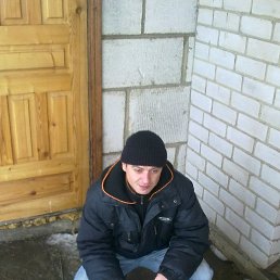 Acorp, ������, 44 ����