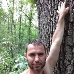 Mihai, ������, 44 ����