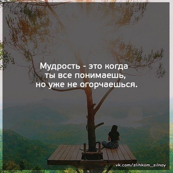  ,  .© - 21  2020  18:41