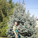 ���� ������, ���������, 43 ���� - ��������� 28 ������ 2020 � ������ ���� ����������