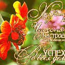 ���� �������, ����� - ��������� 5 ��� 2020 � ������ ������ ��������