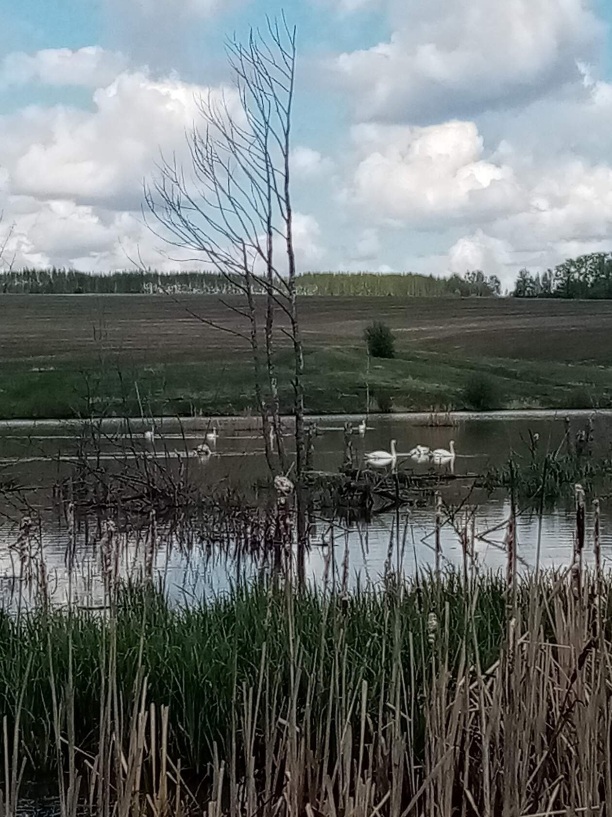  - 17  2020  21:06 - 7