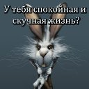 ���� ��������, �������� - ��������� 1 ����� 2020 � ������ ���� ����������