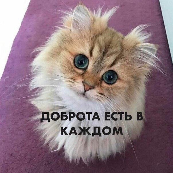    - 27  2020  18:34