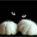 ���� ����� ������, ������ ��������, 48 ��� - ��������� 28 ������ 2020 � ������ ������ ��������