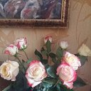 ���� ��������, ������� - ��������� 21 ���� 2020 � ������ ���� ����������