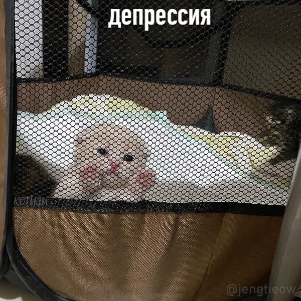    : - 4
