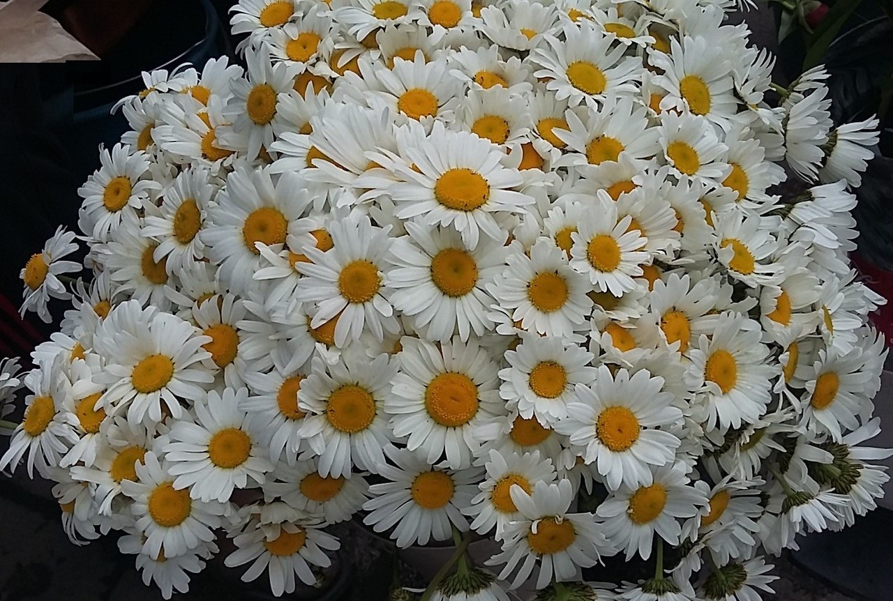 ������� ������ - 4 ������� 2020 � 17:42