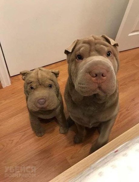 K���� �� ��� ��� ��p������ � ����� - 2