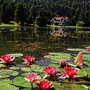 ���� Burhan, ������, 61 ��� - ��������� 8 ����� 2020 � ������ ���� ����������