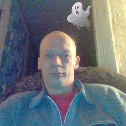 ������, ������������, 47 ���