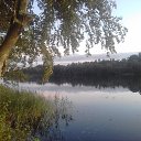 ���� ������, ���, 53 ���� - ��������� 24 ������ 2020