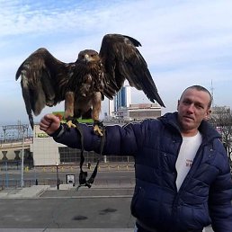 ���� ������, ����, 49 ��� - ��������� 7 ������ 2020